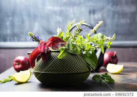 teapot and herb teapot and herb 69692372