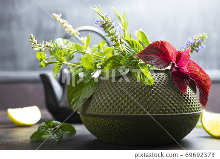 teapot and herb teapot and herb 69692373