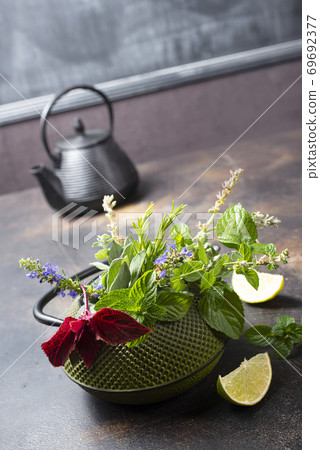 teapot and herb teapot and herb 69692377