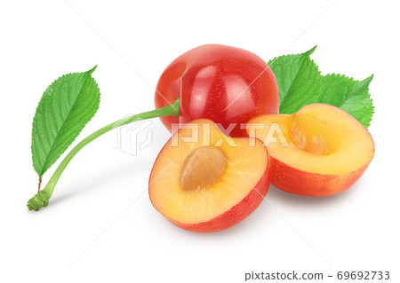 yellow-red sweet cherry isolated on white background with clipping path and full depth of field yellow-red sweet cherry isolated on white background with clipping path and full depth of field 69692733