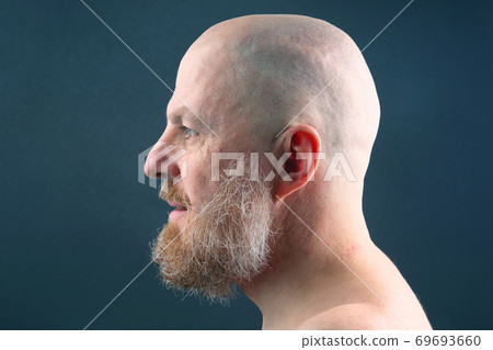 portrait of a bearded and bald man in profile portrait of a bearded and bald man in profile 69693660