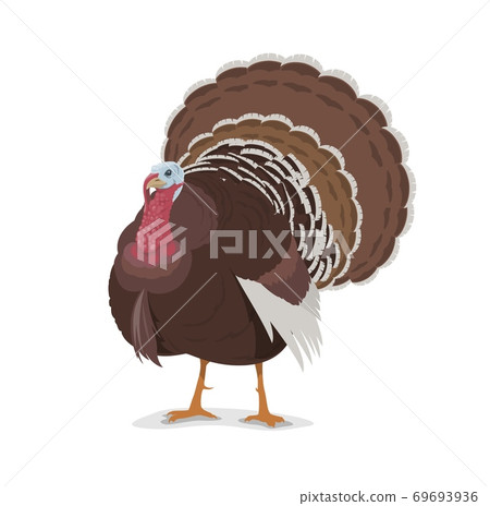 Turkey vector cartoon mascot, poultry farm fowl Turkey vector cartoon mascot, poultry farm fowl 69693936