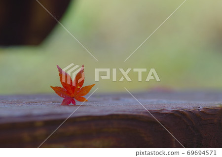 Autumn leaves stand Autumn leaves stand 69694571