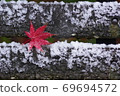 Snow and Maple 69694572