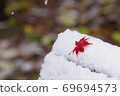 Snow bench and maple 69694573