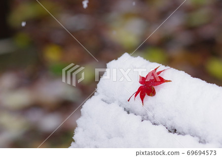 雪板凳友二 雪板凳友二 69694573