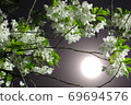 Sakura and moon 69694576