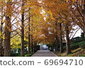 Autumn leaves road 69694710