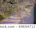 Bloom 69694712
