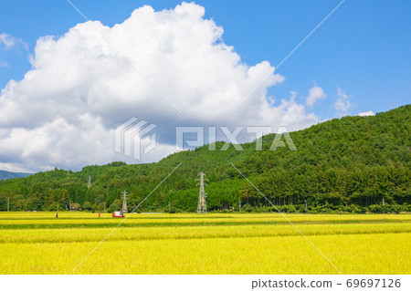 Rural landscape in autumn Rural landscape in autumn 69697126
