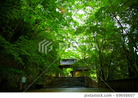 滋賀縣榮元寺,綠意盎然,2020年 滋賀縣榮元寺,綠意盎然,2020年 69698607