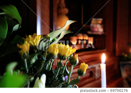 Chrysanthemum and altar Chrysanthemum and altar 69700276