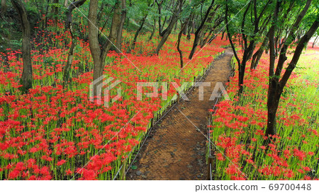 花路 花路 69700448