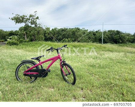 Children's bicycle on the lawn 69703705