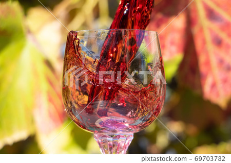 A red wine pouring into the glass against vineyard background. A red wine splashing in a wineglass. 69703782