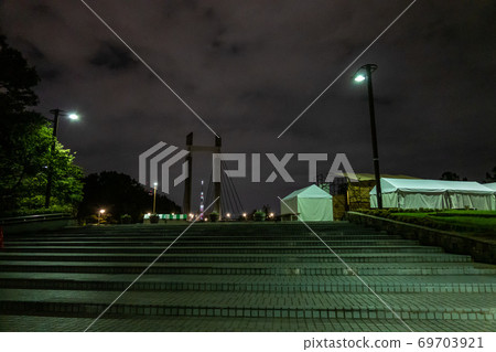Koto Ward Festival Night View (2019) Koto Ward Festival Night View (2019) 69703921