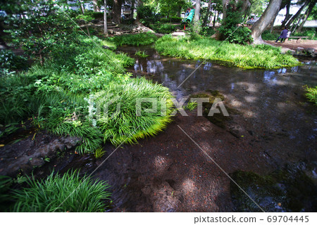 Mishima City Shirataki Park 69704445