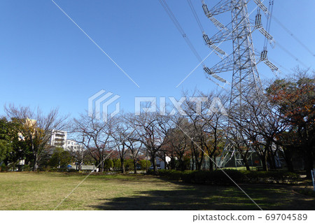 江戶川區綜合休閒公園花卉園 69704589