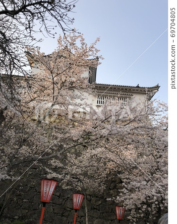 《櫻花美中塔上的津山城（岡山縣津山市）》 69704805