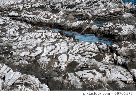 Strata found on the coast 69705175