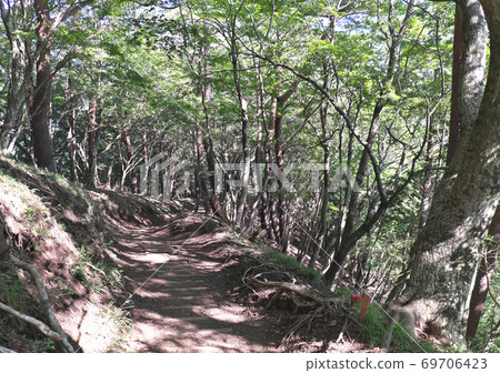 Mountain trail Okura ridge Mountain trail Okura ridge 69706423