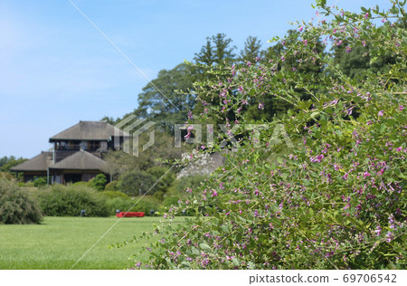 Kairakuen的玫瑰花和Yoribun年糕 Kairakuen的玫瑰花和Yoribun年糕 69706542