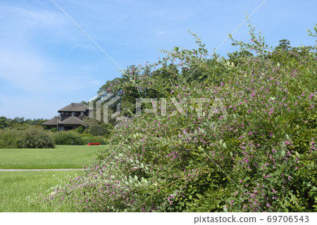 Kairakuen的玫瑰花和Yoribun年糕 Kairakuen的玫瑰花和Yoribun年糕 69706543