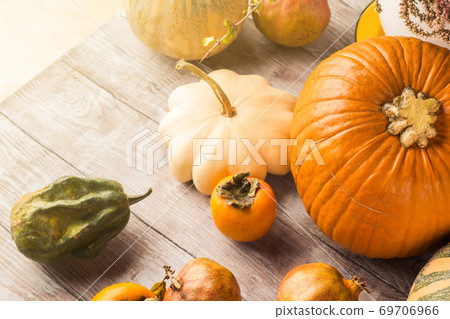 Autumn thanksgiving still life with pumpkins Autumn thanksgiving still life with pumpkins 69706966