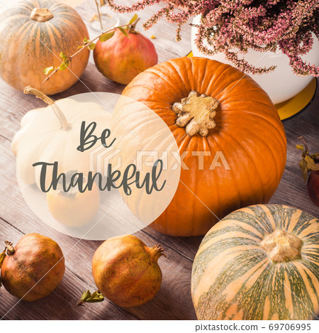 Autumn thanksgiving still life with pumpkins 69706995