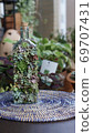 Succulent plants 69707431