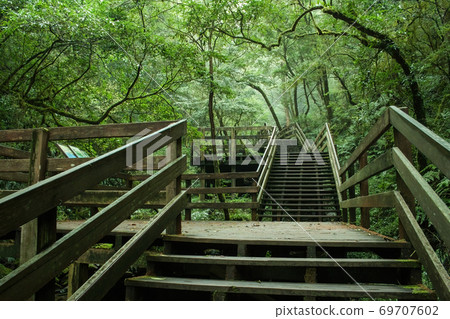 Enjoy nature and forests Enjoy nature and forests 69707602