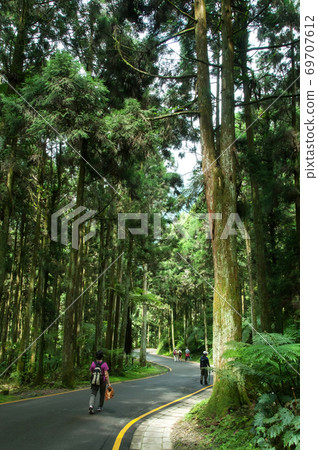 享受大自然新鮮的空氣,森林 享受大自然新鮮的空氣,森林 69707612