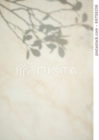 大理石牆上反射出的植物陰影 69708206