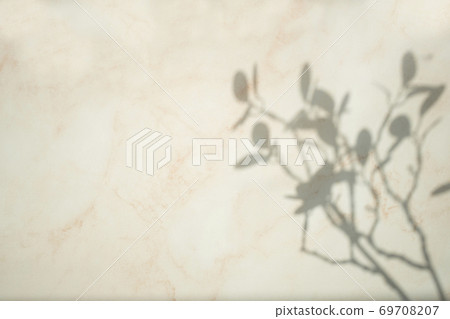 Plant shadows reflected on the marble wall 69708207
