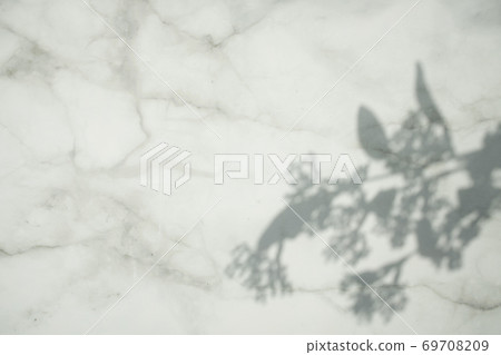 大理石牆上反射出的植物陰影 69708209