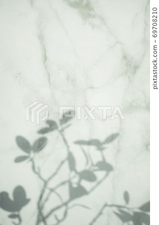 大理石牆上反射出的植物陰影 大理石牆上反射出的植物陰影 69708210