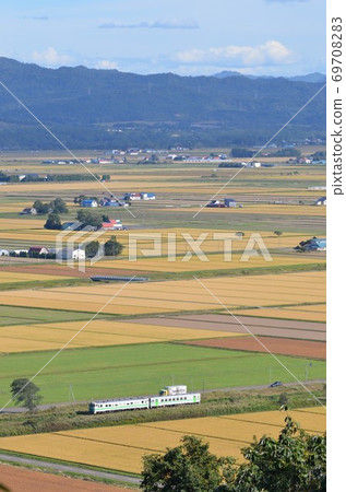 普通火車穿越金色的田野 69708283