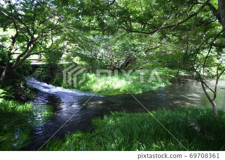 三島市公園新宿 三島市公園新宿 69708361