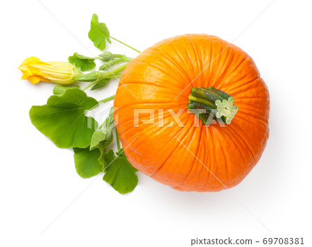 Fresh Orange Pumpkin Vegetable With Flower Fresh Orange Pumpkin Vegetable With Flower 69708381