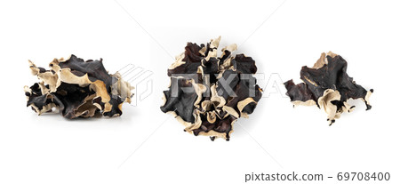 Dry Black Fungus, Tree Ear or Wood Ear Mushroom Isolated 69708400