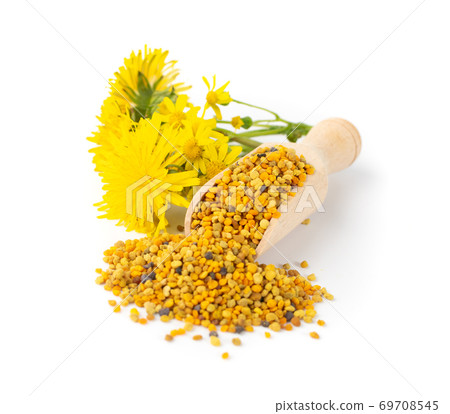Bee Pollen, Perga, Flower Pollen Grains or Bee Bread 69708545