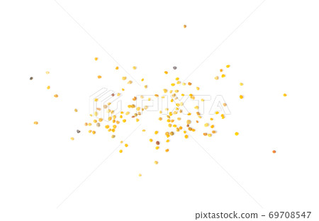 Bee Pollen, Perga, Flower Pollen Grains or Bee Bread 69708547