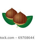 Illustration of chestnut 69708644