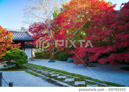 Autumn Tenju-an Temple Nanzenji Temple 69709305