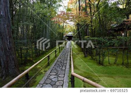 Moss and bamboo grove on the approach to Kotoin in autumn in Kyoto Moss and bamboo grove on the approach to Kotoin in autumn in Kyoto 69710325