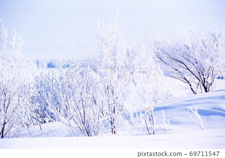 北海道北廣島市的風景雪景/樹冰 北海道北廣島市的風景雪景/樹冰 69711547