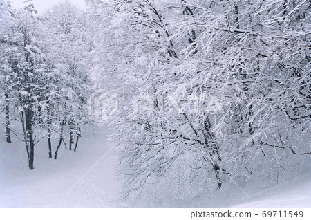 北海道北廣島市的風景雪景/樹冰 北海道北廣島市的風景雪景/樹冰 69711549