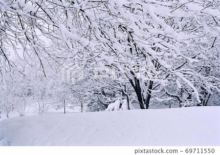 北海道北廣島市的風景雪景/樹冰 北海道北廣島市的風景雪景/樹冰 69711550