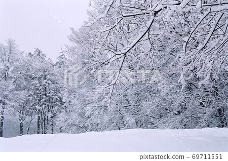 北海道北廣島市的風景雪景/樹冰 69711551