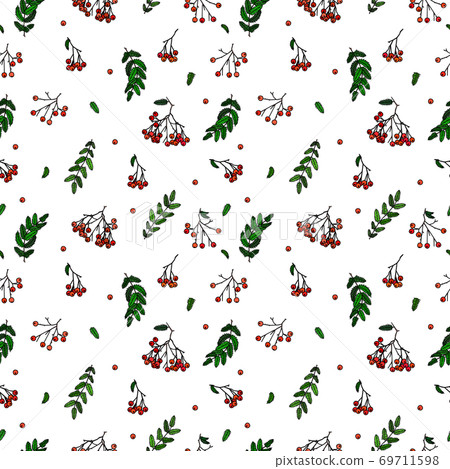Autumn theme of a cluster of rowanberries with and without a leaf, twigs with leaves, the possibility of binding, tile picture, the never-ending theme 69711598